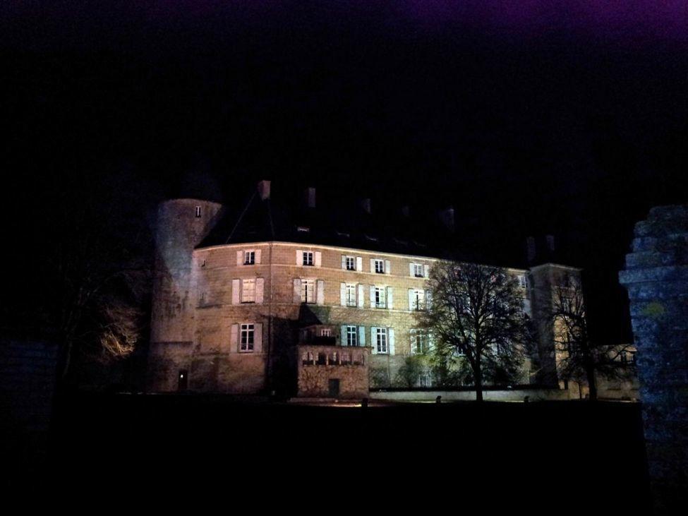 Chateau De Frasne Esterno foto